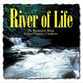 RIVER OF LIFE CD CD